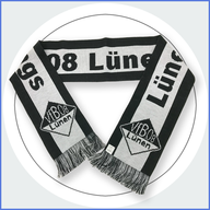 klassischer Fanschal Verein