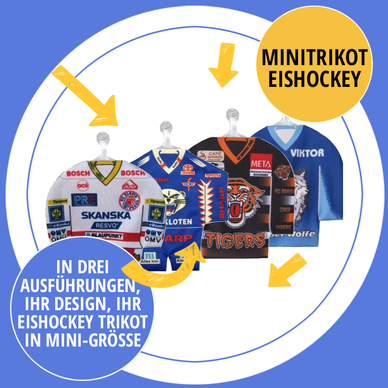 Eishockey Minitrikot individuell